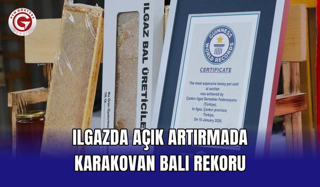 Ilgazda Açık Artırmada Karakovan Balı Rekoru