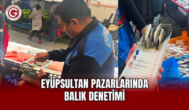 Eyüpsultan Pazarlarında Balık Denetimi