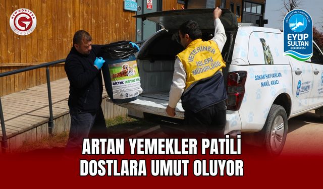 Artan Yemekler Patili Dostlara Umut Oluyor