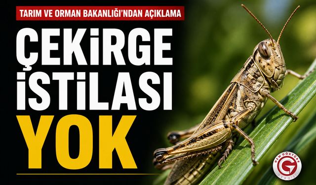 Bakanlıktan Çekirge İstilası Açıklaması