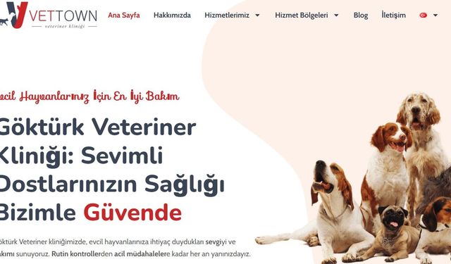 Göktürk'ün Dört Ayaklı Dostlarına Yerinde Sağlık Hizmeti