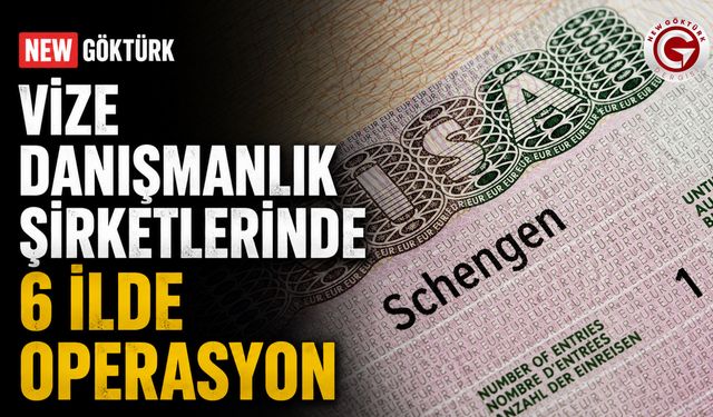Vize Danışmanlık Şirketlerinde 6 İlde Operasyon