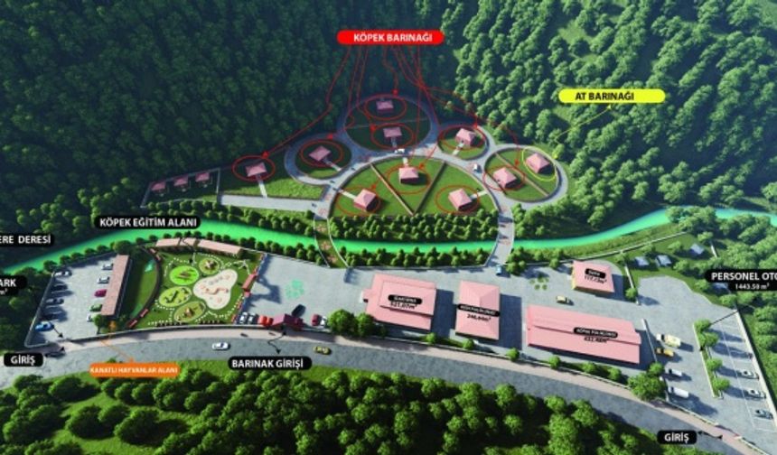 Eyüpsultan Belediyesi, can dostlarımız için yepyeni ve örnek bir projeye daha imza attı. Eyüpsultan Belediyesi Göktürk Hayvan Barınağı