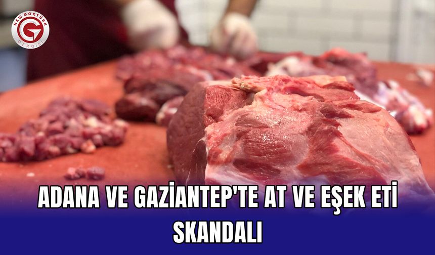 Adana ve Gaziantep'te at ve eşek eti skandalı