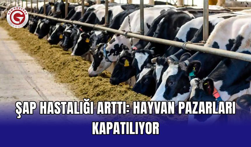 Şap hastalığı arttı: Hayvan pazarları kapatılıyor