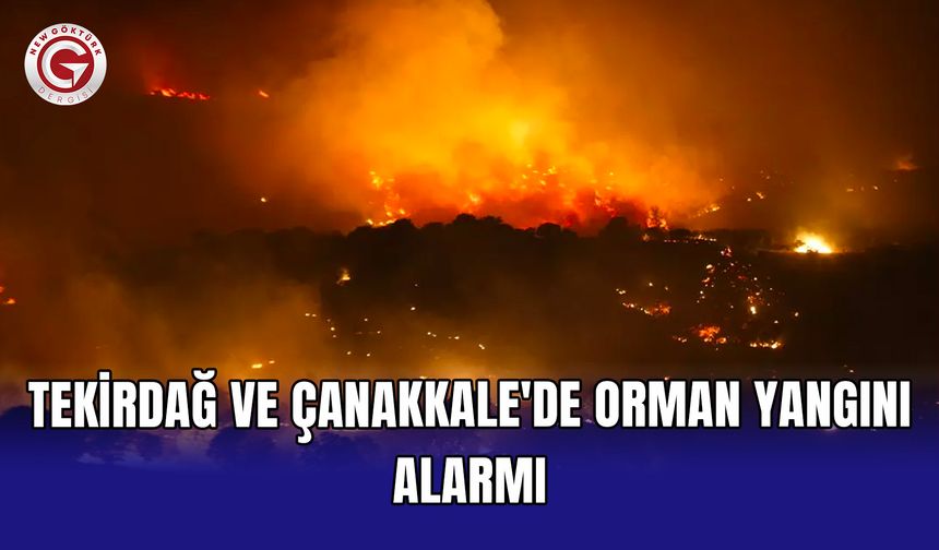 Tekirdağ ve Çanakkale'de orman yangını alarmı