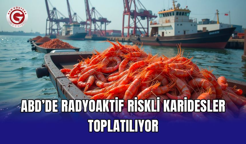 ABD’de radyoaktif riskli karidesler toplatılıyor