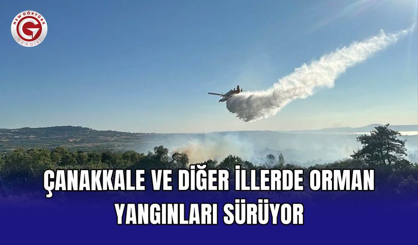 Çanakkale ve diğer illerde orman yangınları sürüyor