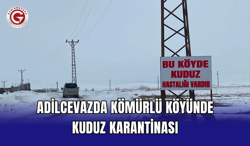 Adilcevazda Kömürlü Köyünde Kuduz Karantinası