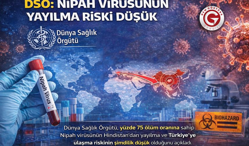 DSÖ: Nipah Virüsünün Yayılma Riski Düşük