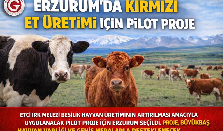Erzurum’da Kırmızı Et İçin Pilot Proje Başladı