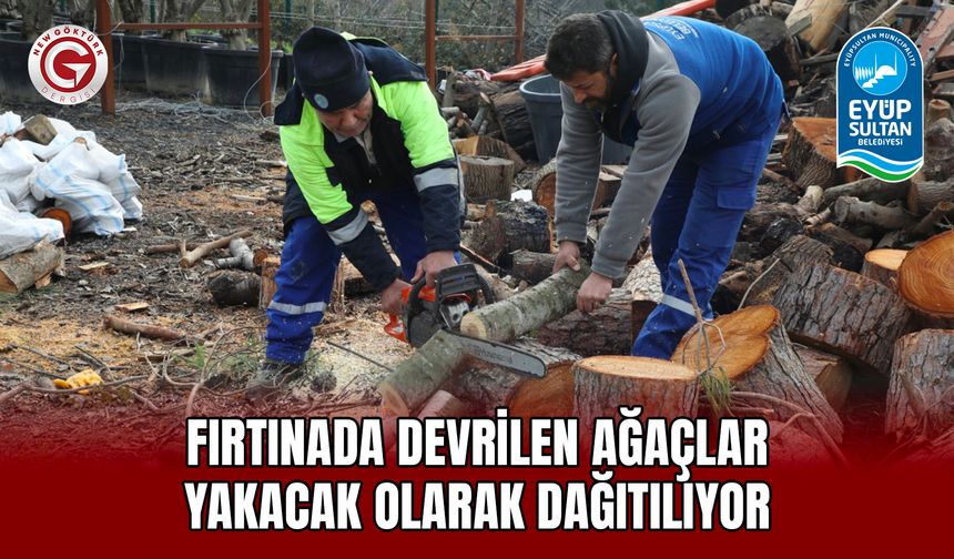 Fırtınada Devrilen Ağaçlar Yakacak Olarak Dağıtılıyor