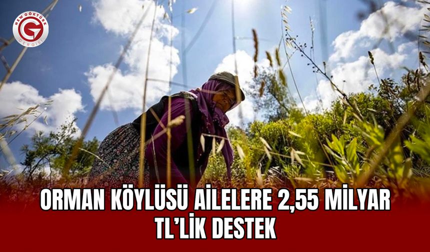 Orman köylüsü ailelere 2,55 milyar TL’lik destek