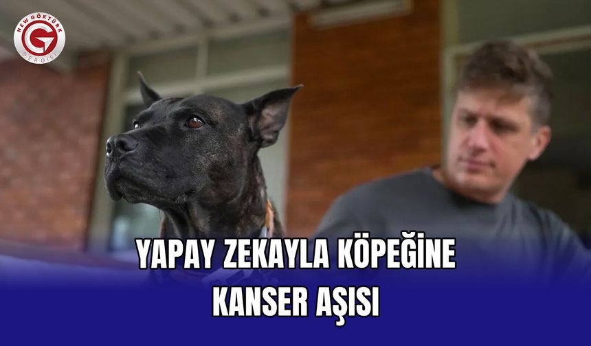 Yapay Zekayla Köpeğine Kanser Aşısı