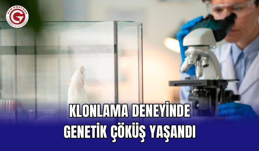 Klonlama deneyinde genetik çöküş yaşandı