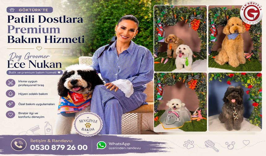 Göktürk’te Patili Dostlara Premium Bakım
