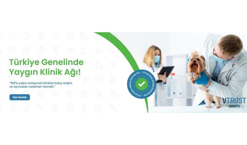 En İyi Evcil Hayvan Sigortası Nasıl Seçilir?