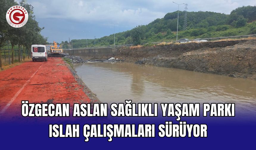 Göktürk Özgecan Aslan Sağlıklı Yaşam Parkı’nda Dere Islah Çalışmaları Devam Ediyor