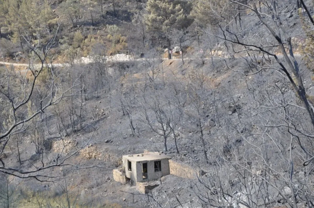 Hatay'da Yangin İle Mücadele