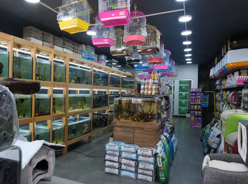 Göktürk Petshop-3